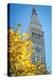 Clock tower, Madison Square park, New York City, NY, USA-Julien McRoberts-Premier Image Canvas