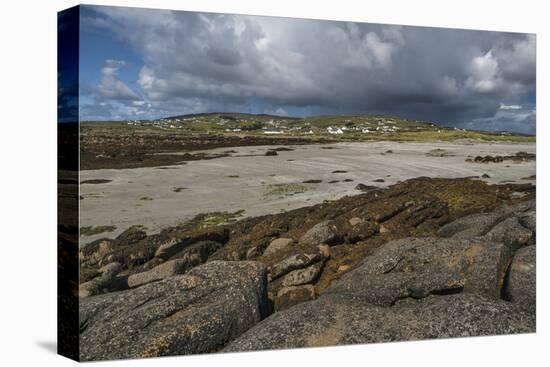 Cloghcor, Arranmore Island, County Donegal, Ulster, Republic of Ireland, Europe-Carsten Krieger-Premier Image Canvas