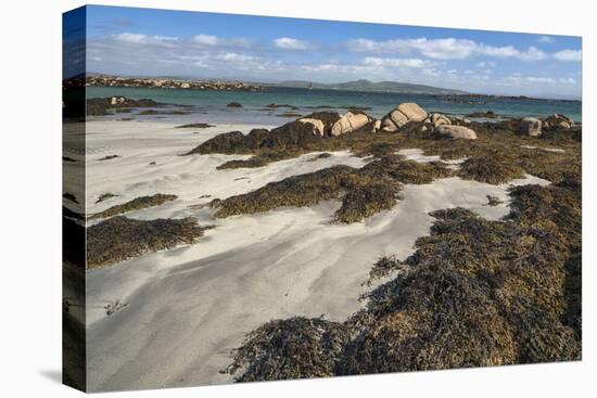 Cloghcor, Arranmore Island, County Donegal, Ulster, Republic of Ireland, Europe-Carsten Krieger-Premier Image Canvas