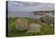 Cloghcor, Arranmore Island, County Donegal, Ulster, Republic of Ireland, Europe-Carsten Krieger-Premier Image Canvas