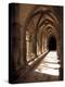 Cloister Detail, Arles, Cloitre St-Trophime, Bouches-Du-Rhone, Provence, France-Walter Bibikow-Premier Image Canvas