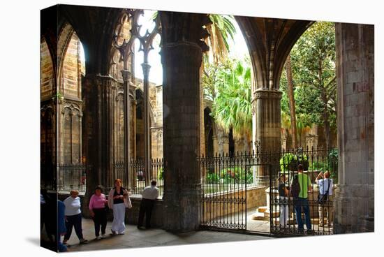 Cloister of Catedral La Seu in the Barri Gotic, Barcelona, Catalonia, Spain-null-Stretched Canvas