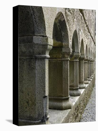 Cloister, Ross Errilly Franciscan Friary, Near Headford, County Galway, Connacht, Ireland-Gary Cook-Premier Image Canvas