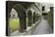 Cloister, Ross Errilly Franciscan Friary, Near Headford, County Galway, Connacht, Ireland-Gary Cook-Premier Image Canvas