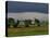 Clonmacnoise, County Offaly, Leinster, Republic of Ireland, Europe-Carsten Krieger-Premier Image Canvas