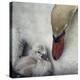 Close To You-Piet Flour-Stretched Canvas