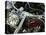 Close-up Image of a Motorcycle-null-Premier Image Canvas