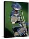 Close-up Image of Golf Clubs-null-Premier Image Canvas