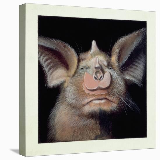 Close-Up of a Bat's Face-null-Premier Image Canvas