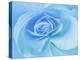 Close-Up of a Blue Rose-Adam Jones-Premier Image Canvas