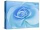 Close-Up of a Blue Rose-Adam Jones-Premier Image Canvas