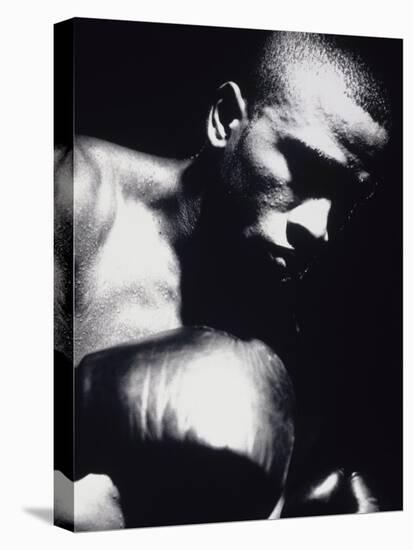 Close-up of a Boxer-null-Premier Image Canvas