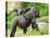 Close-Up of a Cute Baby Gorilla and Mother-Eric Gevaert-Premier Image Canvas