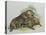 Close-Up of a Female Beaver Lying with its Young (Castor Fiber)-null-Premier Image Canvas