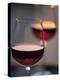 Close up of a Glass of Red Wine-Joerg Lehmann-Premier Image Canvas