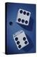 Close-up of a Pair of Dice-null-Premier Image Canvas