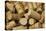 Close-Up of a Pile of Wine Cork Collection-Bill Bachmann-Premier Image Canvas