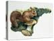 Close-Up of a Red Squirrel Eating a Nut (Sciurus Vulgaris)-null-Premier Image Canvas