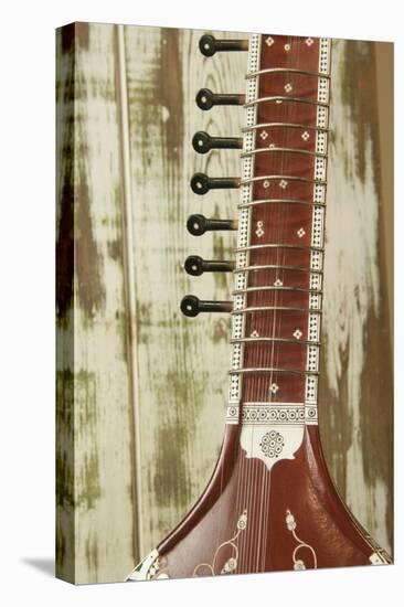 Close-Up of a Wood Indian Sitar String Instrument of Music in India-Bill Bachmann-Premier Image Canvas