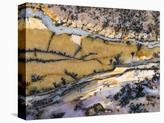 Close-Up of Amethyst Sage Agate, Nevada, USA-Dennis Kirkland-Premier Image Canvas