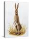 Close-Up of an European Hare Standing in Tall Grass (Lepus Europaeus)-null-Premier Image Canvas