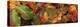 Close up of autumn leaves-Panoramic Images-Premier Image Canvas