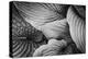 Close-Up of Big Hosta Leaves Covering Each Other-Henriette Lund Mackey-Premier Image Canvas