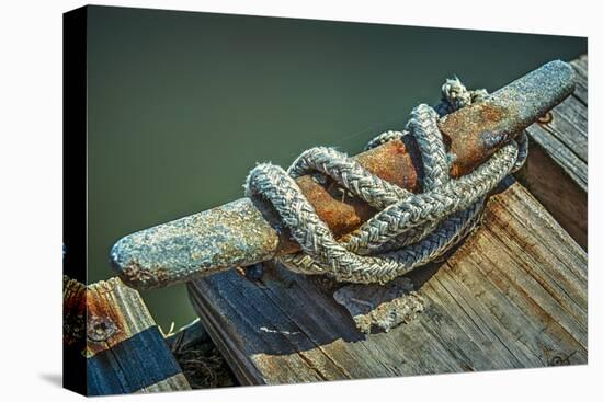 Close Up of Boat Cleat and Rope-Rona Schwarz-Premier Image Canvas