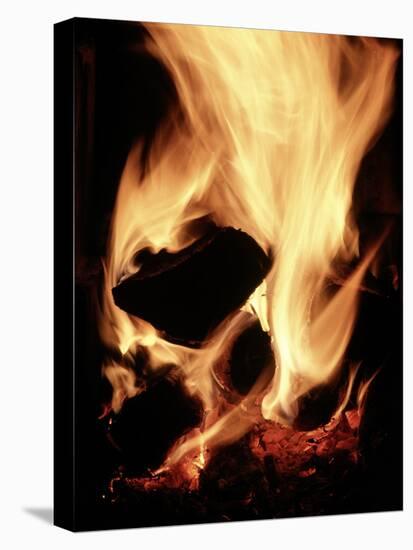 Close-up of Campfire at Night-John Coletti-Premier Image Canvas