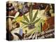 Close-Up of Cannabis Shop Sign, Amsterdam, the Netherlands (Holland)-Richard Nebesky-Premier Image Canvas