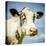 Close Up of Cow's Face-Mark Gemmell-Premier Image Canvas