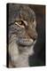 Close-up of Eurasian lynx kitten, aged eight months-Edwin Giesbers-Premier Image Canvas