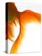 Close-up of Goldfish Tail-Mark Mawson-Premier Image Canvas