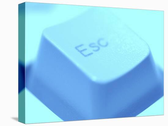 Close-up of Gray Escape Button on Computer Keyboard-null-Premier Image Canvas