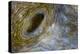Close-Up of Great Clam Mantle-Reinhard Dirscherl-Premier Image Canvas