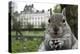 Close-Up of Grey Squirrel (Sciurus Carolinensis) Holding a Nut-Bertie Gregory-Premier Image Canvas