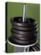 Close-Up of Gym Weightlifting Equipment-Matt Freedman-Premier Image Canvas