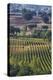 Close Up of Harvest Time Vineyards-Terry Eggers-Premier Image Canvas