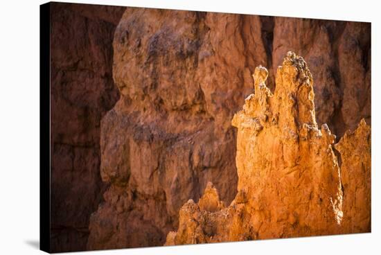 Close Up Of Hoodoos In Bryce Canyon-Lindsay Daniels-Stretched Canvas