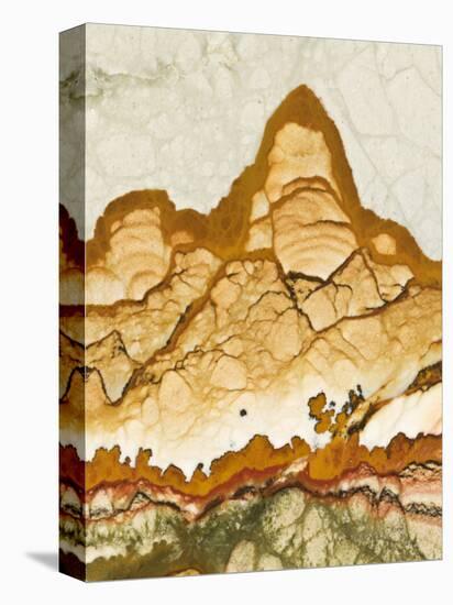Close-Up of Jasper Stone, Rocky Butte, Oregon, USA-Dennis Kirkland-Premier Image Canvas