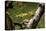 Close-up of leaf, Japanese garden, Portland, Oregon, USA-Panoramic Images-Premier Image Canvas