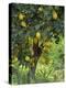 Close-Up of Lemon Tree, Denia, Spain, Europe-Jan Baldwin-Premier Image Canvas