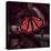 Close-Up of Monarch Butterfly-Andreas Feininger-Premier Image Canvas