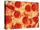 Close-up of Pepperoni Pizza-Mitch Diamond-Premier Image Canvas