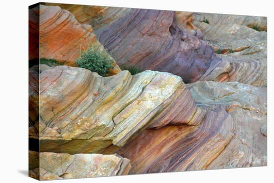 Close-up of Rainbow Vista, Valley of Fire State Park, Nevada, USA.-Michel Hersen-Premier Image Canvas