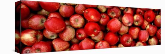 Close-up of Red Apples-null-Premier Image Canvas