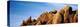 Close-Up of Rocks, Mojave Desert, Joshua Tree National Monument, California, USA-null-Premier Image Canvas