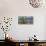 Close-Up of Saguaro Cactus, Catalina State Park, Tucson, Arizona, Usa-null-Premier Image Canvas displayed on a wall