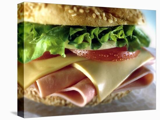 Close-up of Sandwich-ATU Studios-Premier Image Canvas