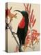 Close-up of Scarlet-Breasted Sunbird on Limb, Ndutu, Tanzania-Arthur Morris-Premier Image Canvas